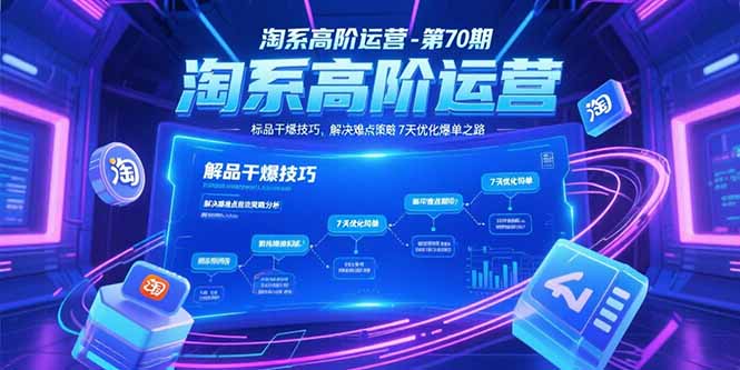 （15307期）淘系高阶运营-第70期，标品干爆技巧，解决难点策略，大佬操盘方法