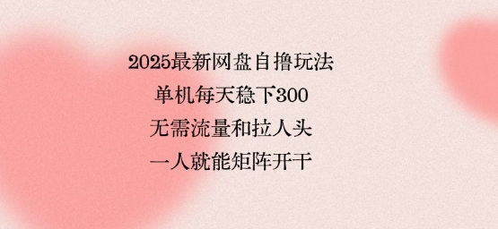 2025最新网盘自撸玩法，单机每天稳下3张，无需流量和拉人头，一个人就可轻松矩阵，全网独一份