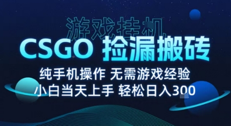 8月最新游戏搬砖，CSGO纯挂G，不需要玩游戏，实现真挂G，月入1W+